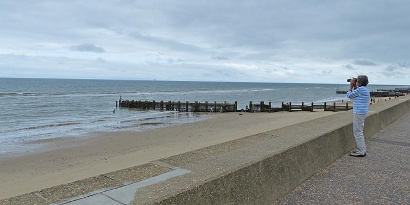 Image of Walcott birding site