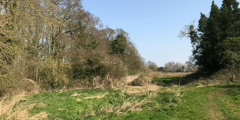 Image of Tunstead birding site