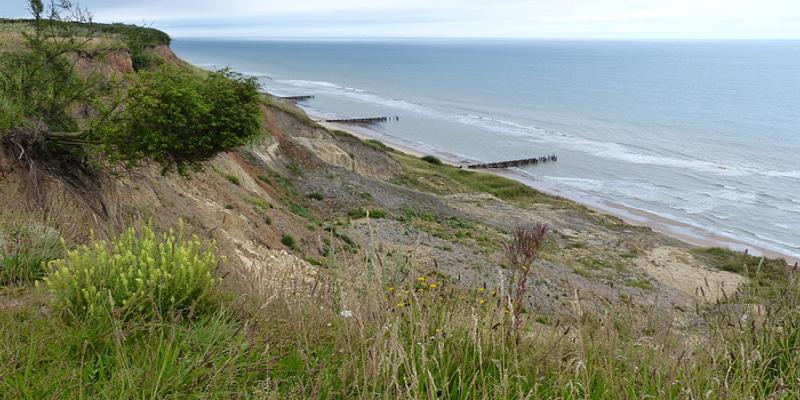 Image of Trimingham birding site