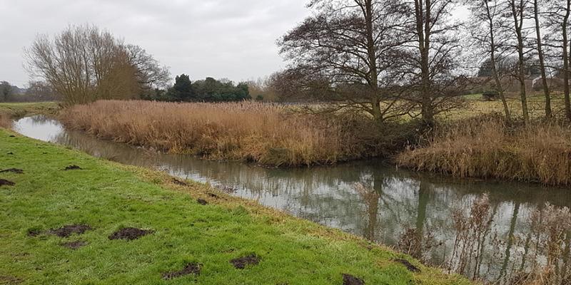 Image of Spa Common birding site