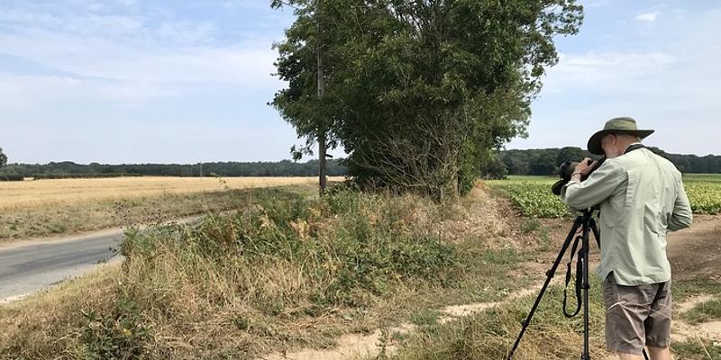 Image of Skeyton Corner birding site