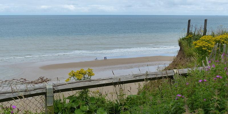 Image of Overstrand birding site