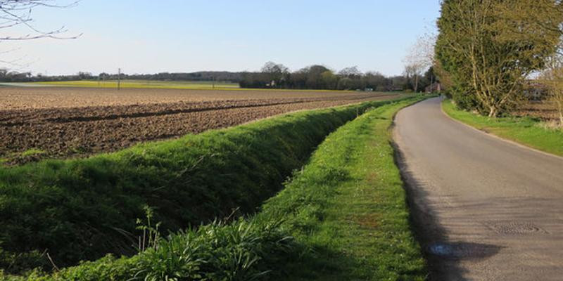 Image of West Beckham birding site
