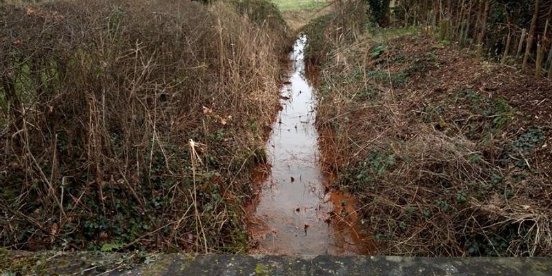 Image of Witton Bridge birding site