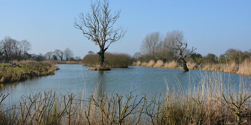 Image of Bodham birding site