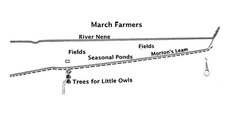 Image of Nene Washes - March Farmers birding site