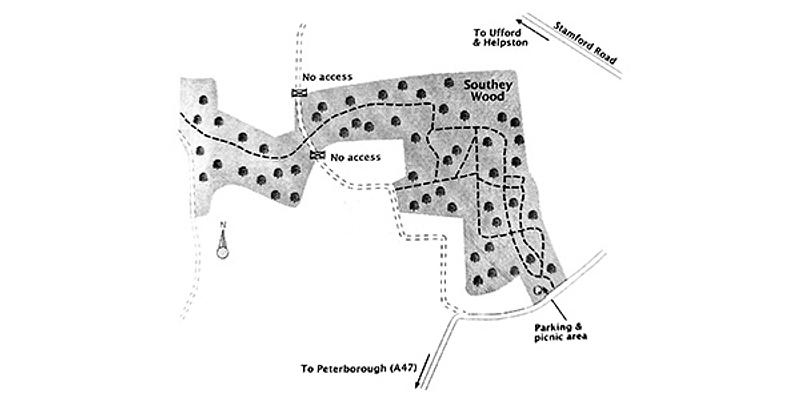 Image of Southey Woods birding site