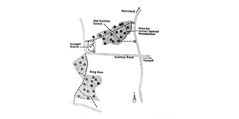 Image of Sulehay Forest Nature Reserve birding site