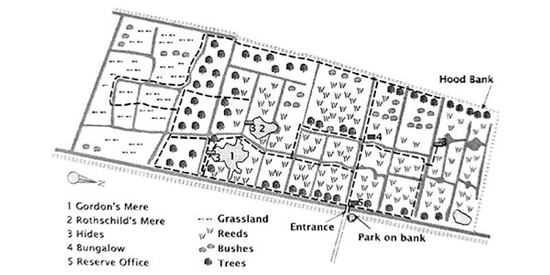 Image of Woodwalton Fen Nature Reserve birding site