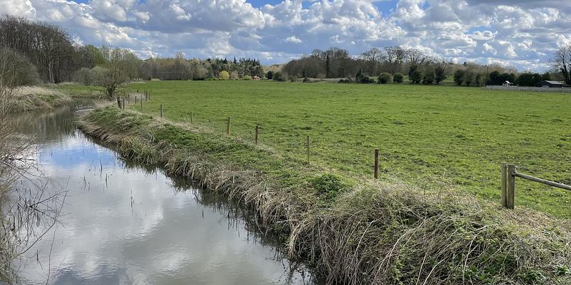 Image of Grazing meadows south of Gasthorpe birding site