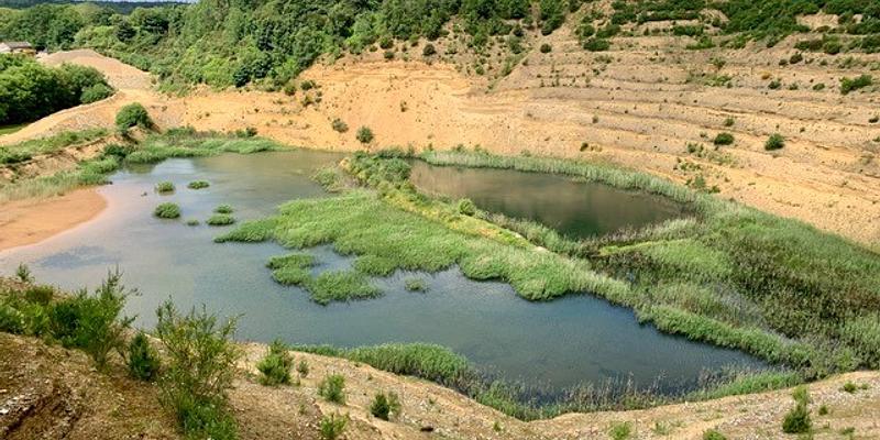 Image of Old Briton's Quarry birding site