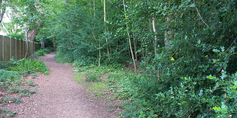 Image of High Kelling birding site
