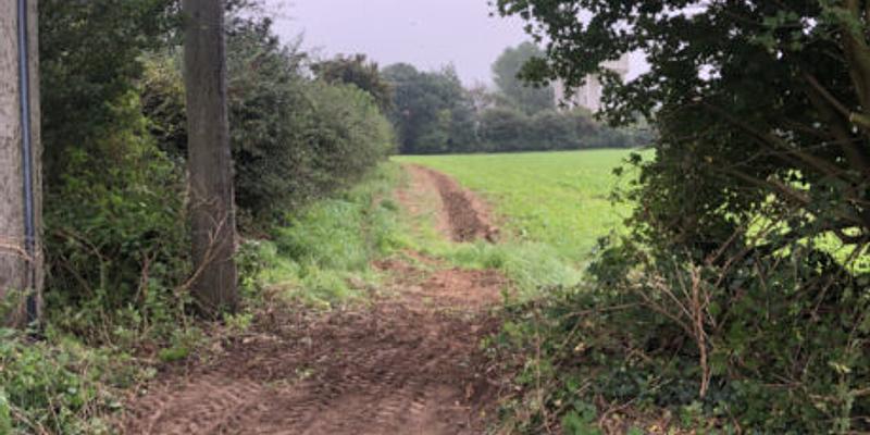 Image of Knapton birding site