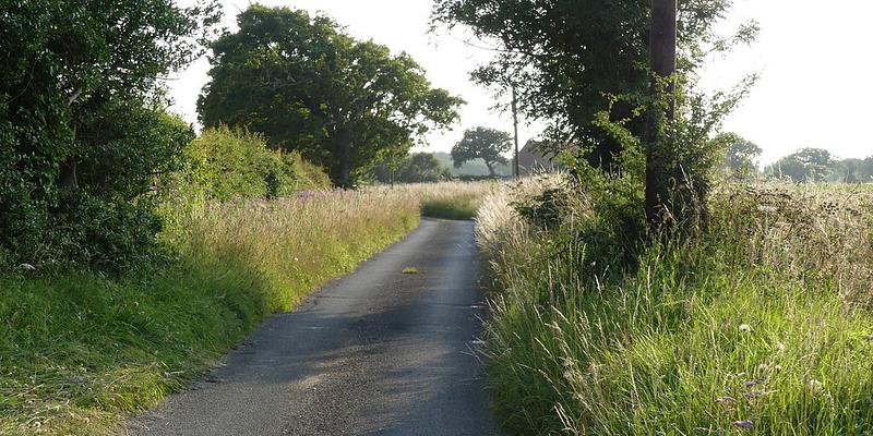 Image of Ridlington inc. part of  Crostwight Heath birding site
