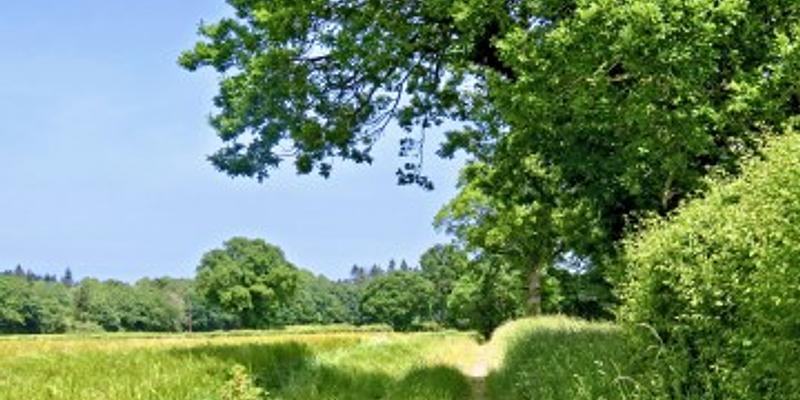 Image of Hempstead birding site