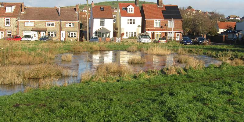 Image of Beeston Regis birding site