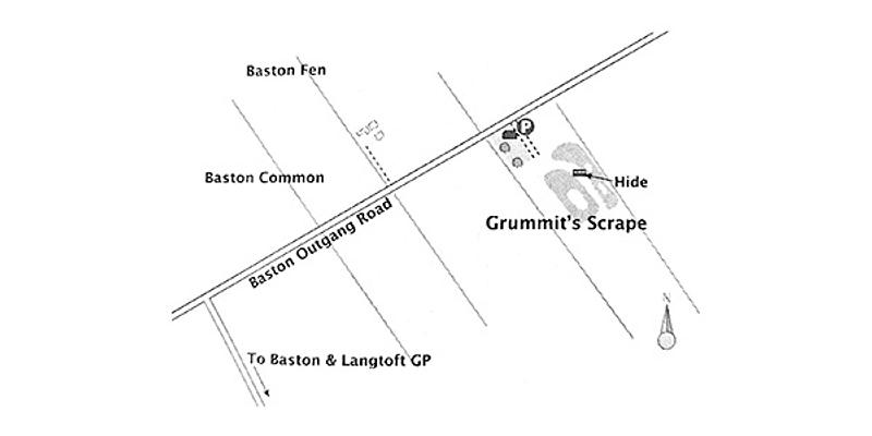 Image of Baston Common & Grummit's Scrape birding site