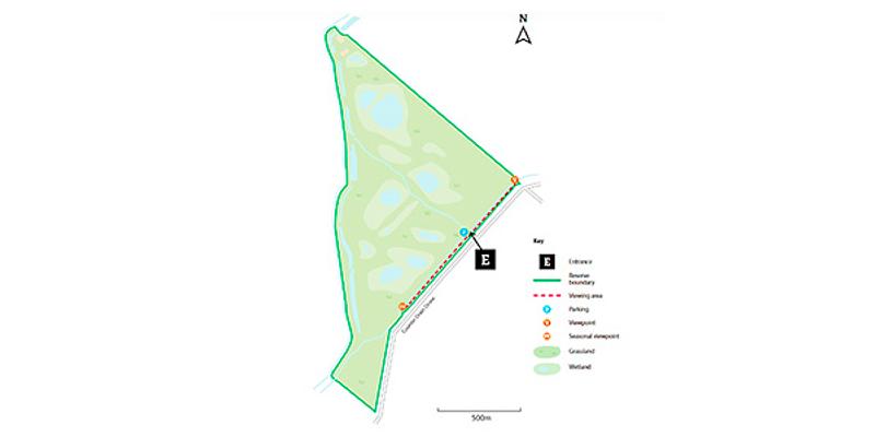 Image of Willow Tree Fen birding site