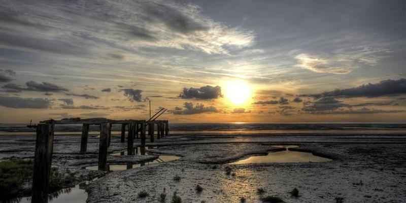 Image of Snettisham RSPB Nature Reserve birding site