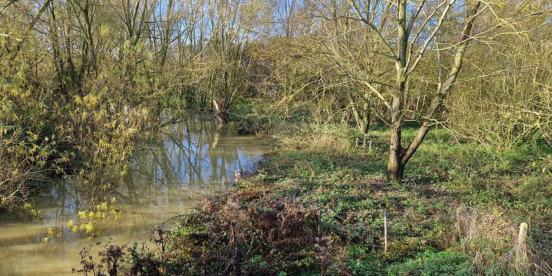 Image of Eyebrook Reservoir birding site