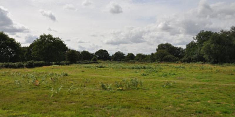 Image of Silvergate & Abel Heath birding site