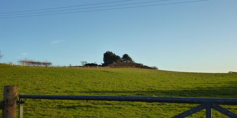Image of Cromer Stone Hill birding site