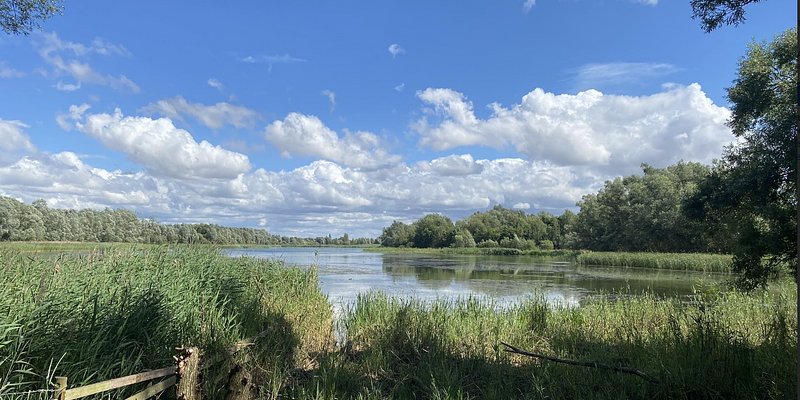 Image of Fen Drayton RSPB birding site