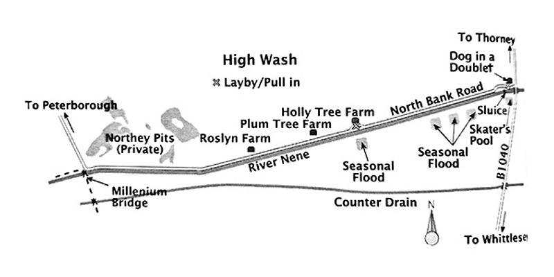Image of Nene Washes - High Wash birding site