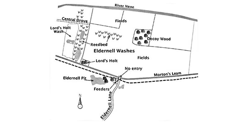 Image of Nene Washes - Eldernell birding site