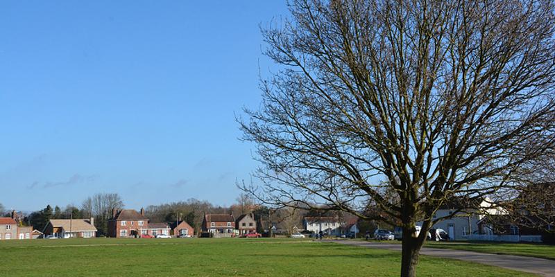 Image of Aldborough birding site