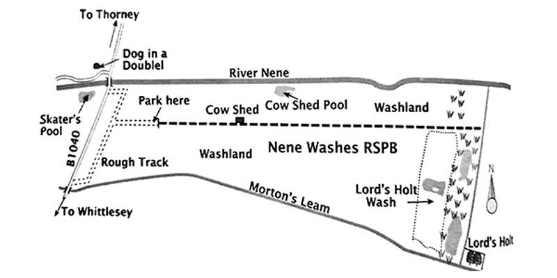 Image of Nene Washes - Central Drove birding site