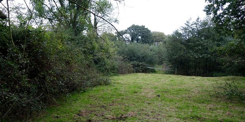 Image of Aylmerton, Mallett's Meadows birding site