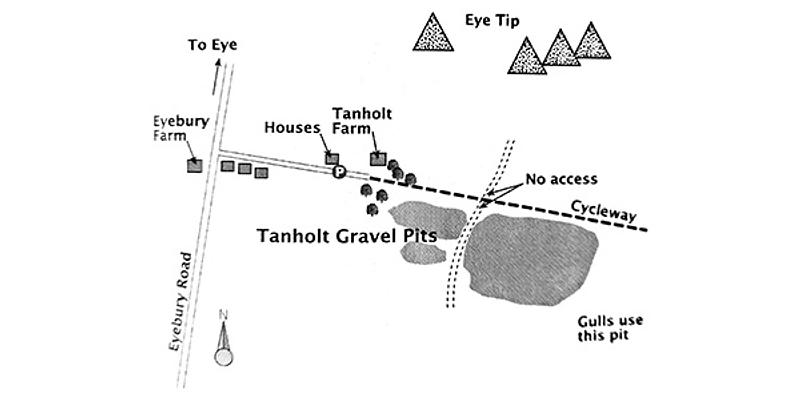 Image of Tanholt Gravel Pits birding site