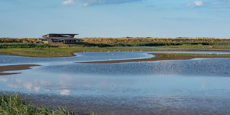 Image of Titchwell Marsh RSPB birding site