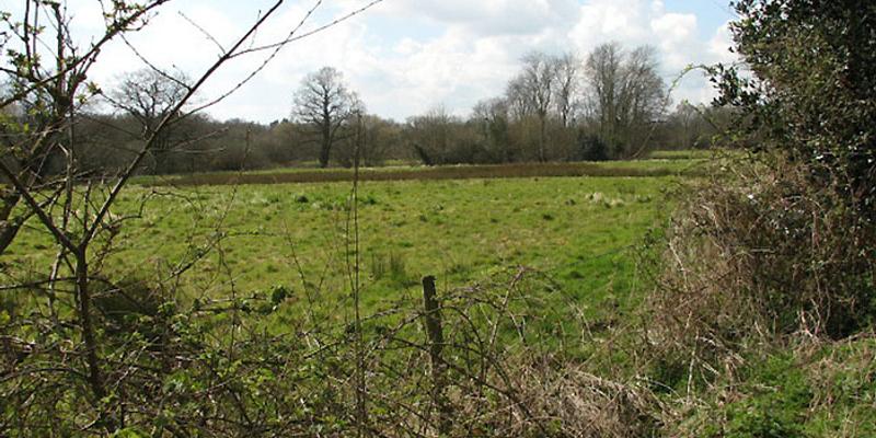 Image of Booton Common NWT birding site