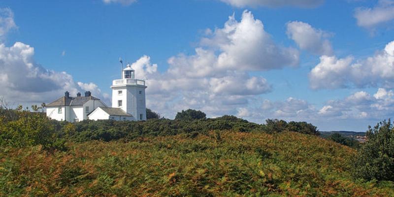 Image of Cromer Lighthouse & East Cliffs  birding site