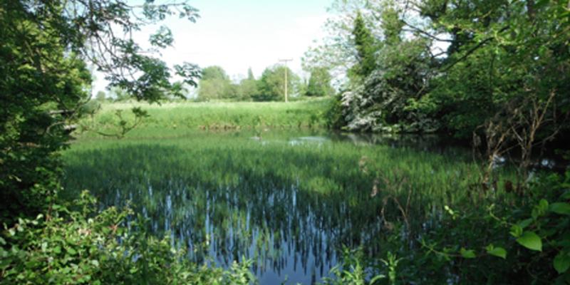 Image of Sharrington birding site