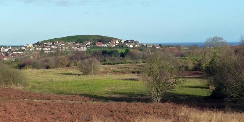 Image of Beeston Common birding site