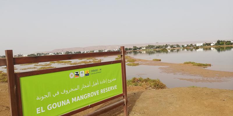 Image of Abydos Mangrove Reserve birding site